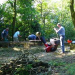 The Wednesday team doing some tree management