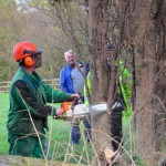 building the extension